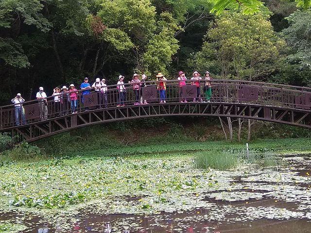 歡慶奧萬大生日 7月1日至5日入園銅板價優惠