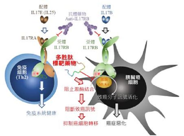 控制「癌王」不再肆虐!