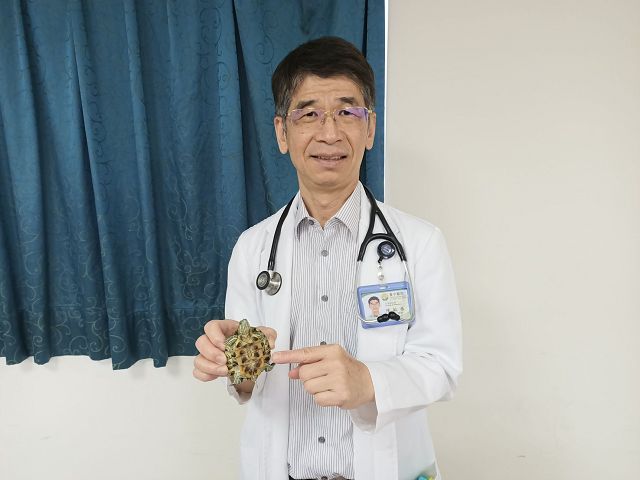 6歲兒發燒腹痛又腹瀉　起因竟是寵物龜！