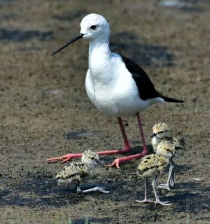竹市疫苗施打提前完成 市長林智堅:中央應以縣市施打效率配發疫苗 竹市疫苗施打提前完成 市長林智堅:中央應以縣市施打效率配發疫苗