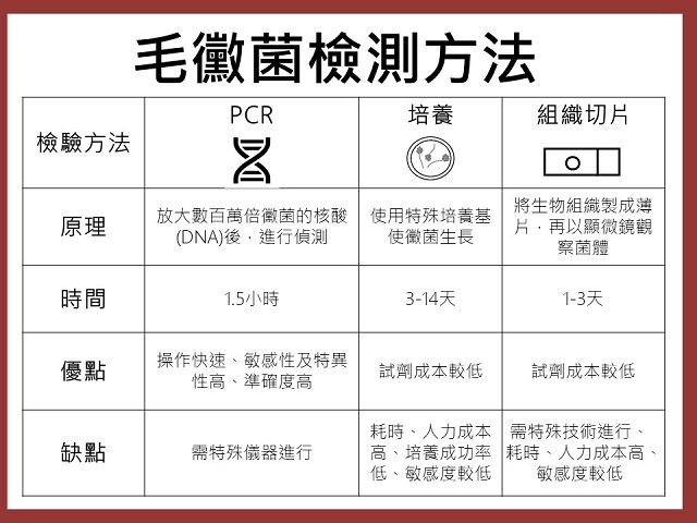 南亞新冠肺炎相關毛黴菌病例持續上升　臺中榮總超前部署快速診斷工具