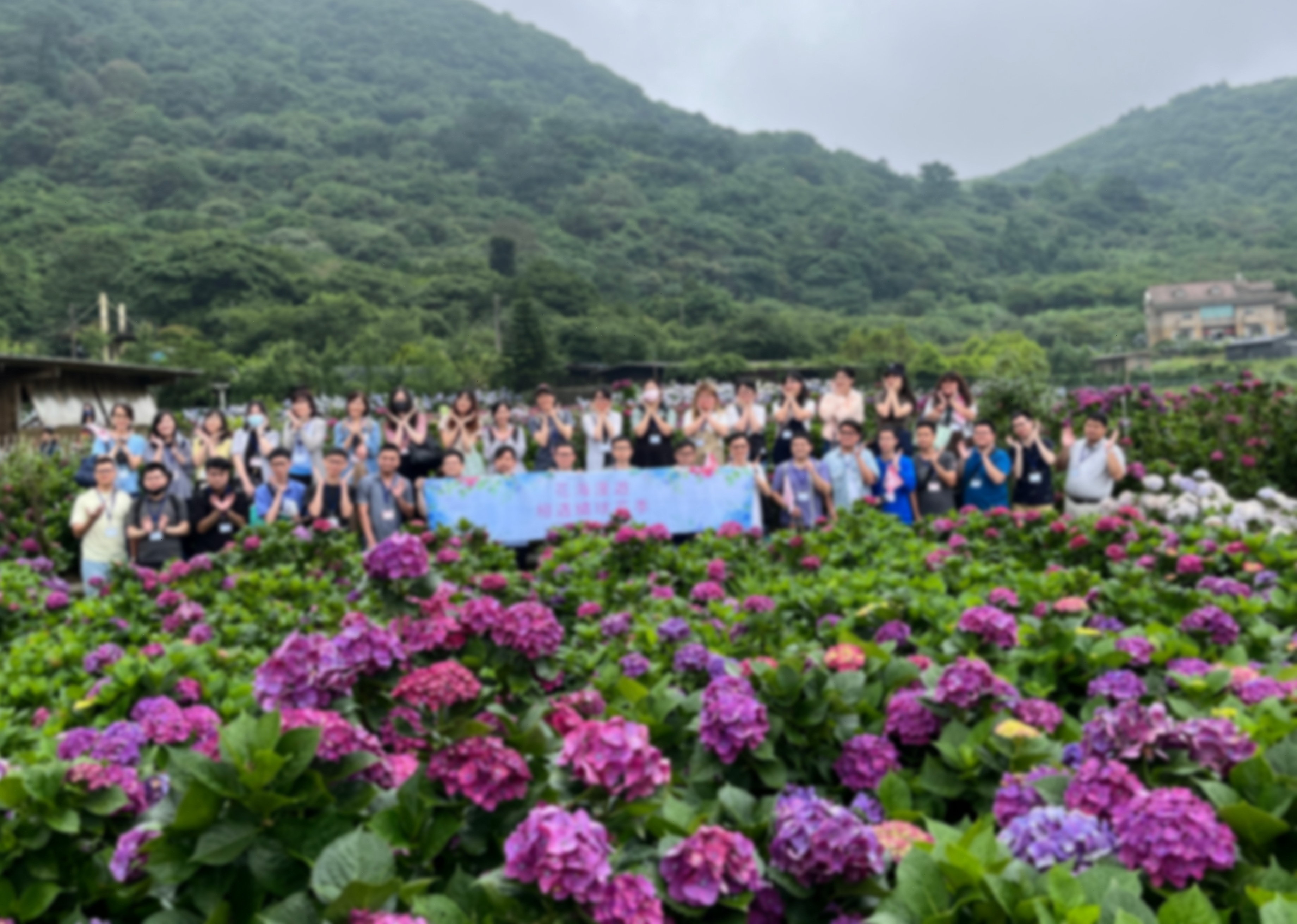 北投區公所舉辦「花海漫遊~相遇繡球花季」單身聯誼活動 繡球花 海中遇見愛