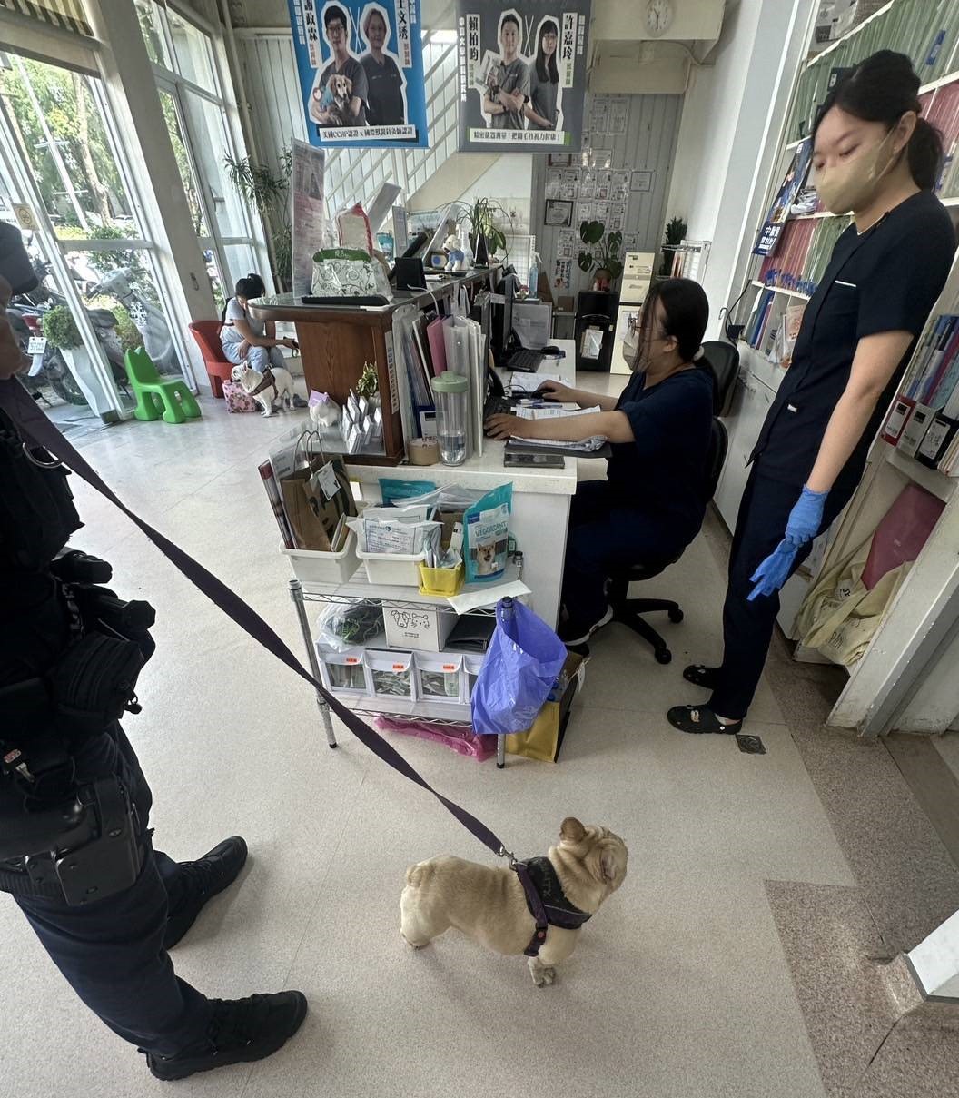 中警救援迷路法鬥 飼主終於鬆一口氣