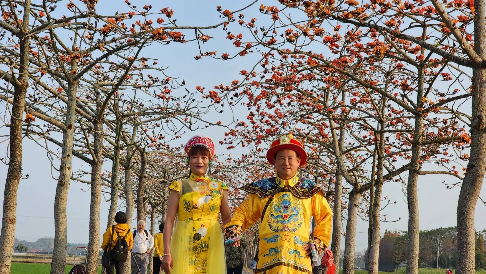 白河林初埤木棉花道 攝影愛好者來朝聖  再到臺灣萬里長城