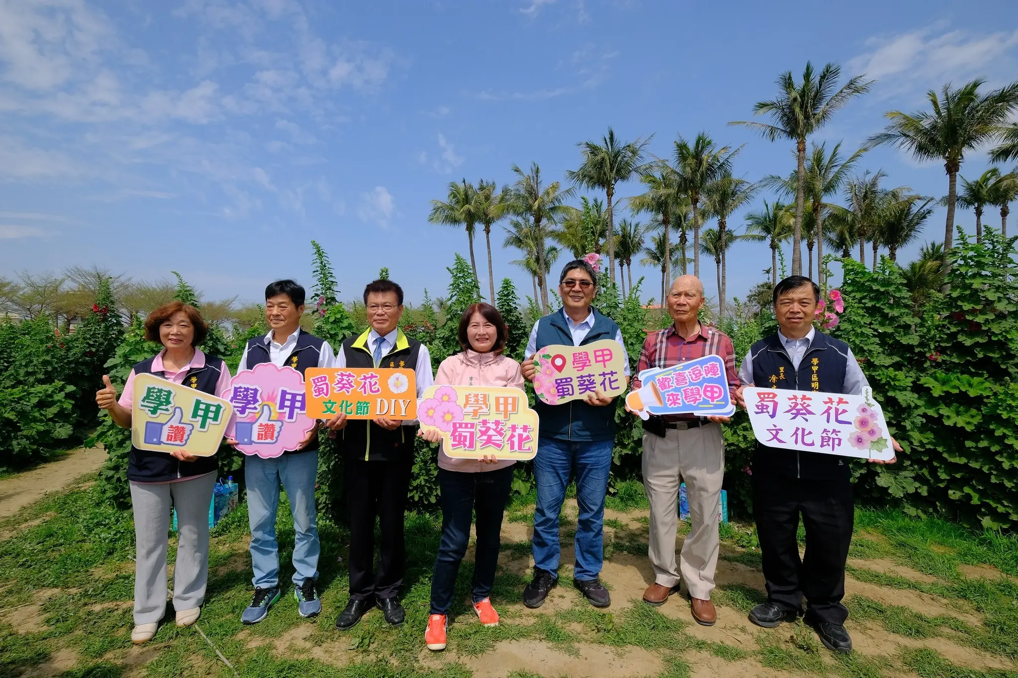 2025學甲蜀葵花文化節繽紛登場   熱鬧延續到4月底