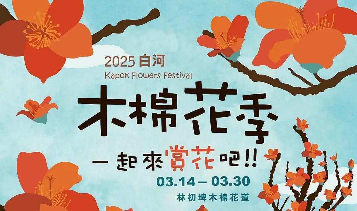 2025白河木棉花季的魅力  盛開時火紅花朵即將登場