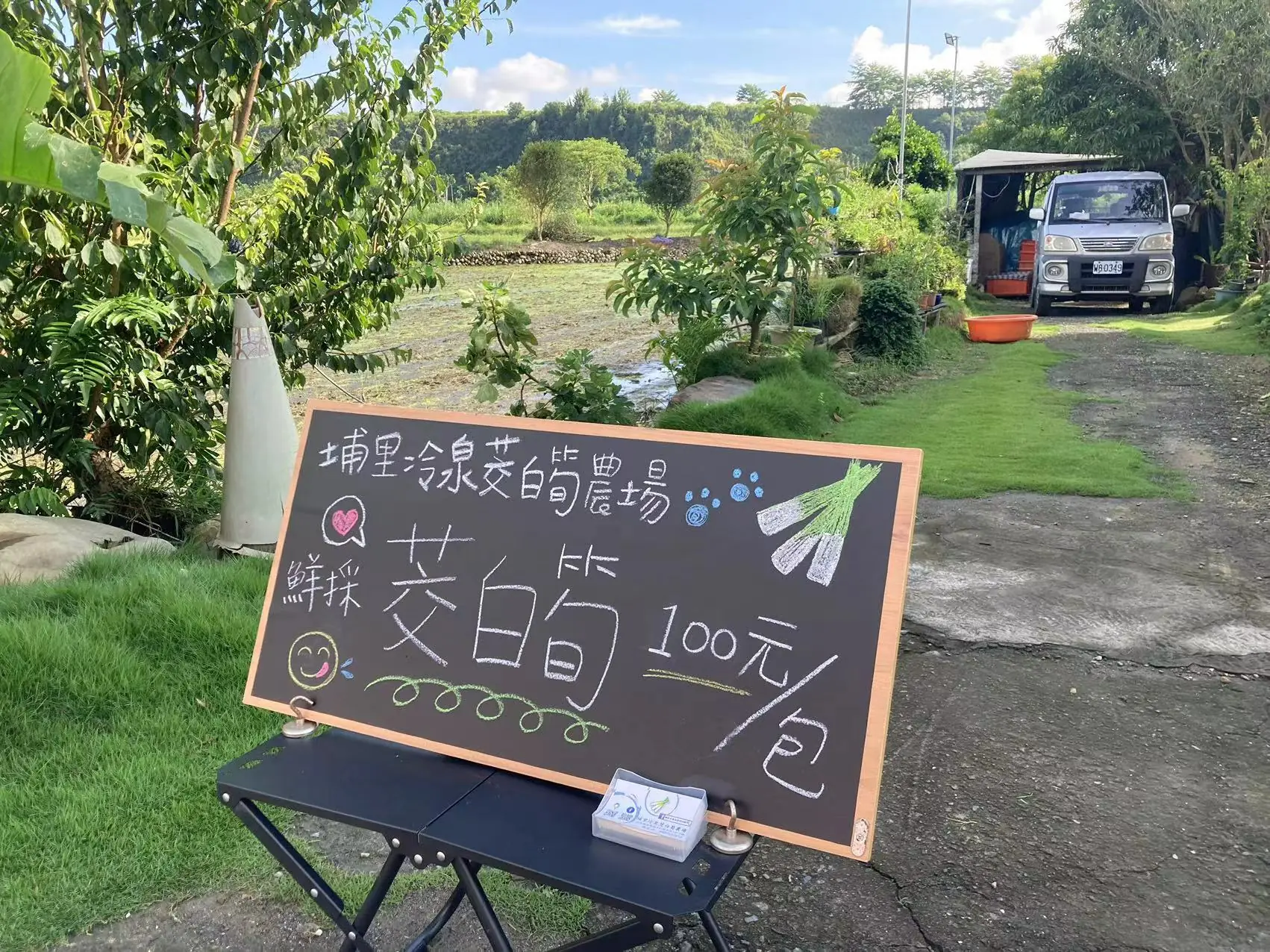 首屆萌寵馬拉松 南投埔里開跑 4 19e4ca93ab5f687
