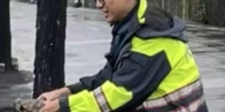 大雨致陸龜誤入車道 潮暖警即時援手助陸龜安全過馬路 大雨致陸龜誤入車道 潮暖警即時援手助陸龜安全過馬路