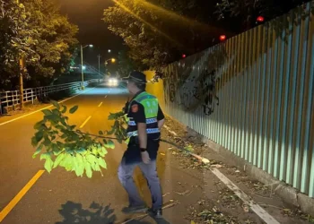 強風惹禍！虎尾防汛道路樹倒擋路 暖警照亮夜歸路