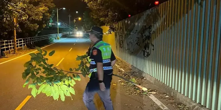 強風惹禍!虎尾防汛道路樹倒擋路 暖警照亮夜歸路 強風惹禍!虎尾防汛道路樹倒擋路 暖警照亮夜歸路