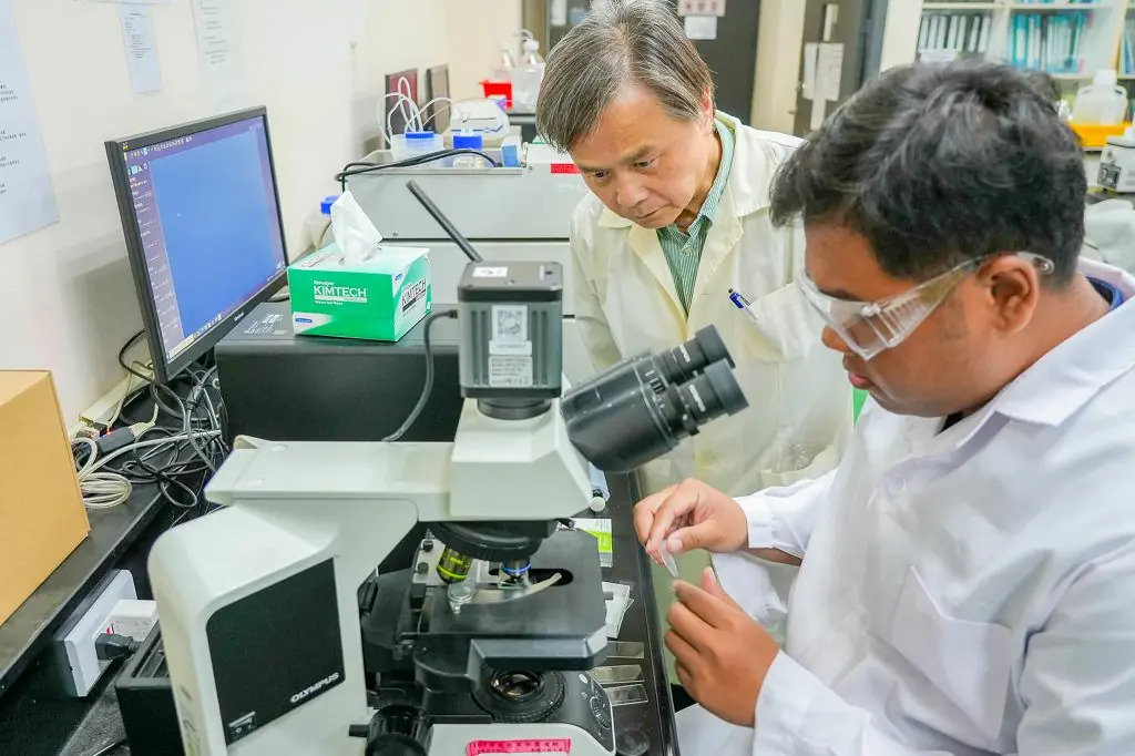 朝陽榮登THE全球最佳大學排名 私立科大唯一連9年進榜 2 93dd4de5cddba2c 1