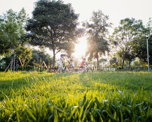 臺中美樂地公園競圖雙首獎 朝陽科大景都系永續設計受肯定 4 fef557c514fa332