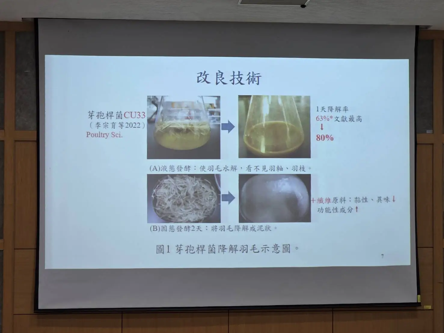 廢棄羽毛變優質蛋白 餵食動物證實生長勝過魚粉 1 1a8a6a578a1b3a5