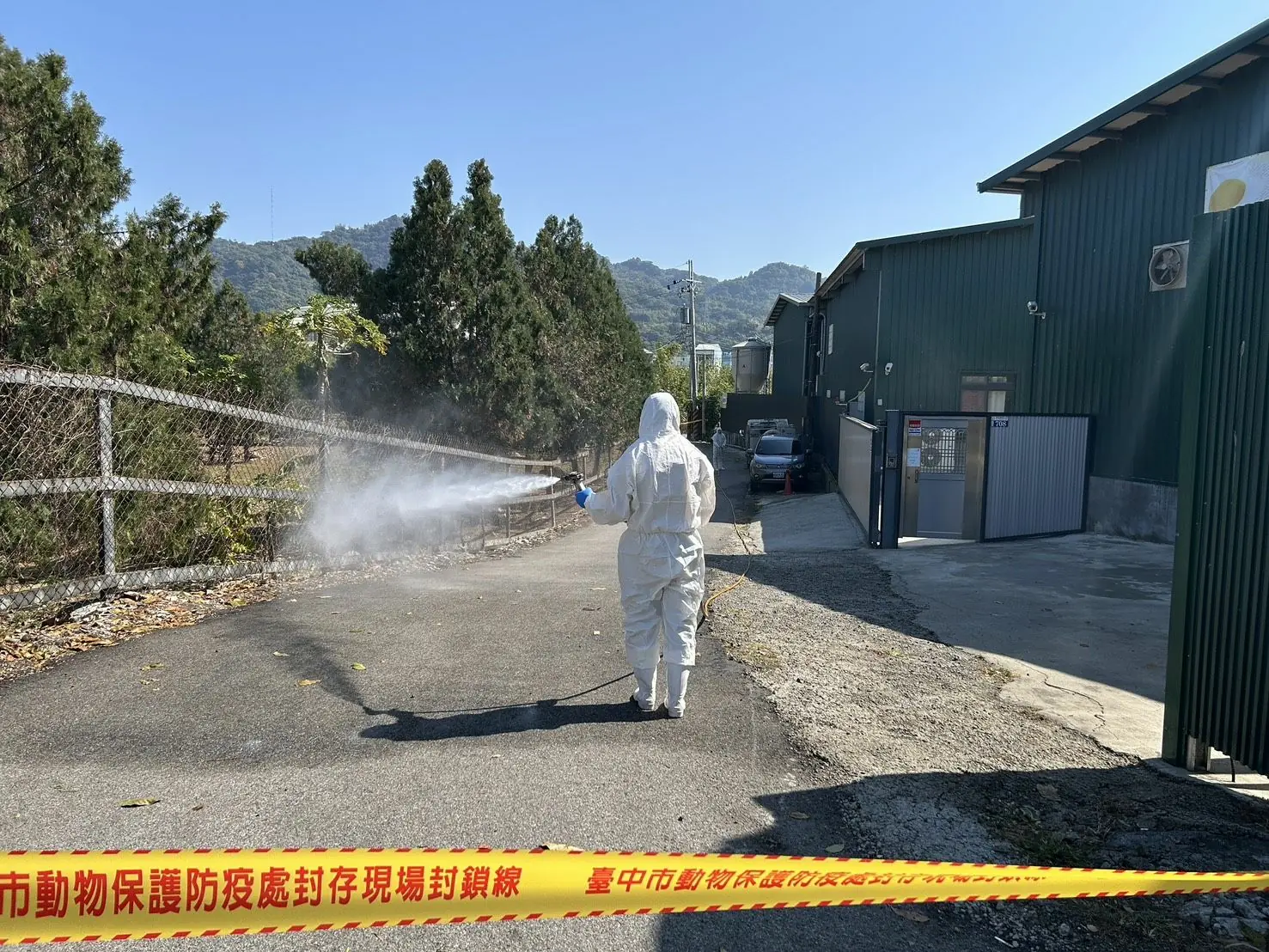 豐原蛋雞場檢出禽流感 中市府啟動防疫應變 監督蛋品下架退費 豐原蛋雞場檢出禽流感 中市府啟動防疫應變 監督蛋品下架退費