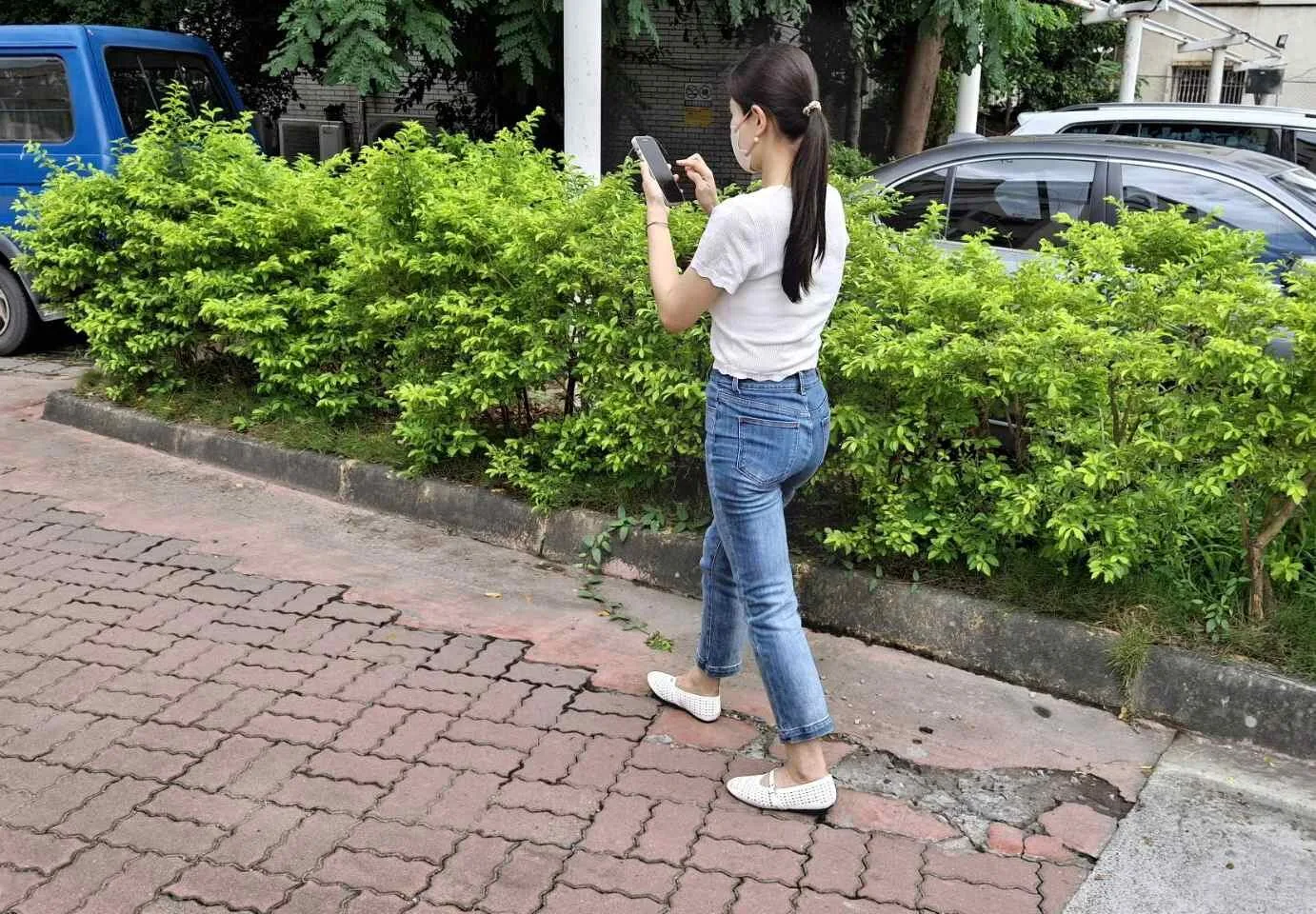 玩家養皮克敏走萬步  突然增加運動量  小心膝蓋「罷工」嘉基醫師陳頤學:肌腱或韌帶過度使用  都可能是疼痛原因